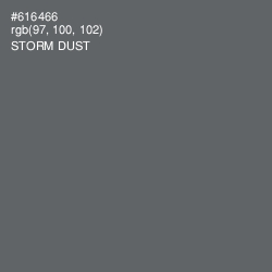 #616466 - Storm Dust Color Image